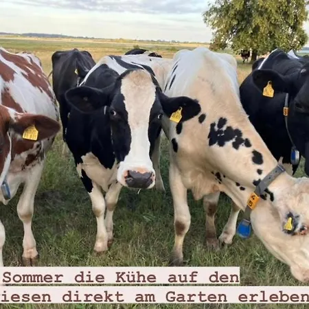 Alloggio in famiglia Auszeit Im Privatzimmer An Den Salzwiesen Mit Gemeinsamer Kueche Und Eingang Insel Poel